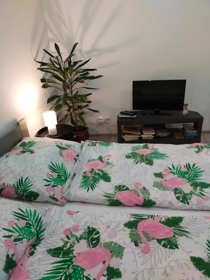 Przy Rynku Appartement Duszniki Zdrój Buitenkant foto
